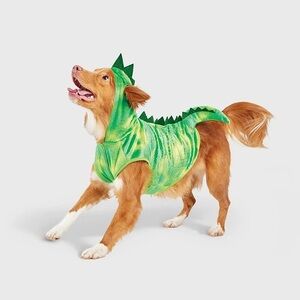 Green Dragon Pet Costume